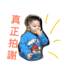 cssa baby（個別スタンプ：11）