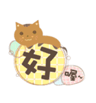 Cute text box（個別スタンプ：11）