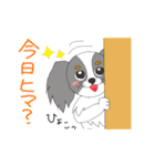 わたしのパピヨン（個別スタンプ：7）