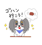 わたしのパピヨン（個別スタンプ：11）