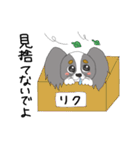 わたしのパピヨン（個別スタンプ：16）