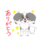 わたしのパピヨン（個別スタンプ：19）