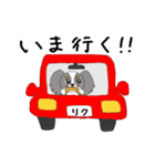 わたしのパピヨン（個別スタンプ：20）