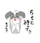 わたしのパピヨン（個別スタンプ：21）