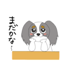 わたしのパピヨン（個別スタンプ：24）