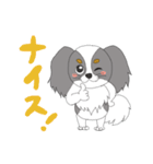 わたしのパピヨン（個別スタンプ：25）
