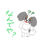 わたしのパピヨン（個別スタンプ：37）