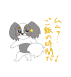 わたしのパピヨン（個別スタンプ：38）
