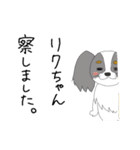 わたしのパピヨン（個別スタンプ：39）