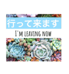 多肉植物の言葉(日本語と英語)（個別スタンプ：7）