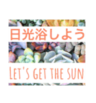 多肉植物の言葉(日本語と英語)（個別スタンプ：12）