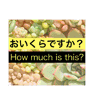 多肉植物の言葉(日本語と英語)（個別スタンプ：17）