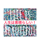 多肉植物の言葉(日本語と英語)（個別スタンプ：22）