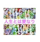 多肉植物の言葉(日本語と英語)（個別スタンプ：30）