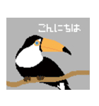 Pixel Animal（個別スタンプ：20）