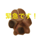 柴犬と白い雑種犬-16（個別スタンプ：38）