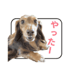 こむぎさんとあずきちゃん（個別スタンプ：32）