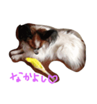 くぅちゃんのいろんな表情（個別スタンプ：6）