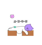 Purple cat mew-（個別スタンプ：14）