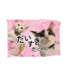 みんみとみかん（個別スタンプ：1）