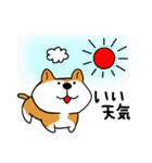 柴犬「ここあ」の1日（個別スタンプ：8）