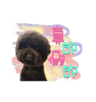 Flower Poodle East East Iraqi children（個別スタンプ：14）