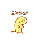 Baby Meerkat sticker！（個別スタンプ：5）