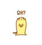 Baby Meerkat sticker！（個別スタンプ：14）