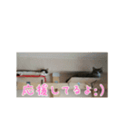 にゃんちゅら2（個別スタンプ：24）