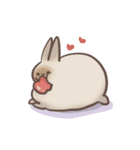 rabbit bubu（個別スタンプ：8）