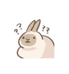 rabbit bubu（個別スタンプ：10）