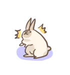 rabbit bubu（個別スタンプ：12）