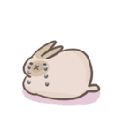 rabbit bubu（個別スタンプ：13）