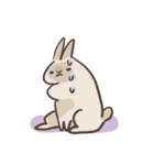 rabbit bubu（個別スタンプ：14）