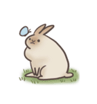 rabbit bubu（個別スタンプ：15）