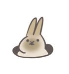 rabbit bubu（個別スタンプ：16）