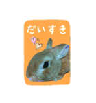 うさぎ(日常)動物さんへ（個別スタンプ：9）