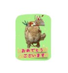 うさぎ(日常)動物さんへ（個別スタンプ：15）