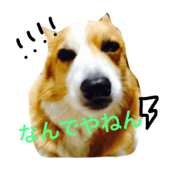 [LINEスタンプ] ウイリアム君 2