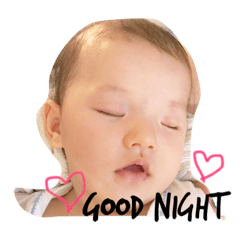 [LINEスタンプ] 今日のたぁ坊