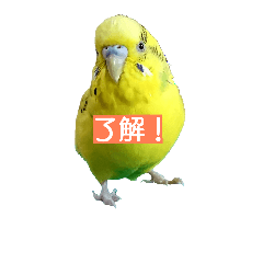 [LINEスタンプ] ネギマとユイとミミ