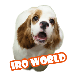 [LINEスタンプ] IroWorld