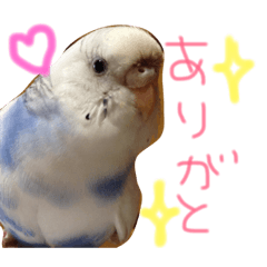 [LINEスタンプ] マヨとポポと時々れちこ☆1