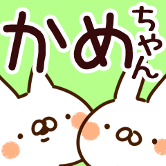 [LINEスタンプ] 【かめちゃん】専用の画像（メイン）