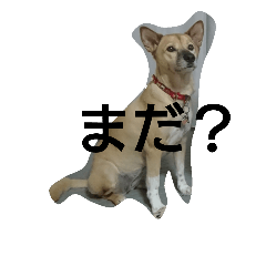 [LINEスタンプ] りっぷりっぷりっぷ