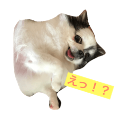 [LINEスタンプ] 私の家族♡