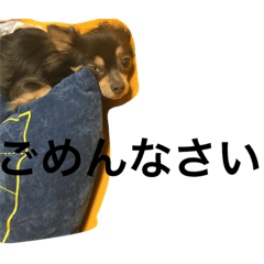 [LINEスタンプ] あんともーりー