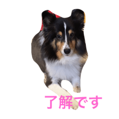 [LINEスタンプ] hello queen hana