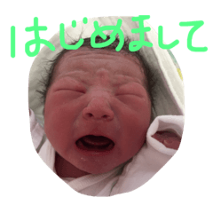 [LINEスタンプ] はじめまして ぼく りくです  よろしくね