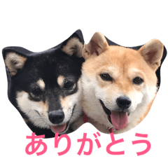 [LINEスタンプ] 豆柴なつ＆ふゆ